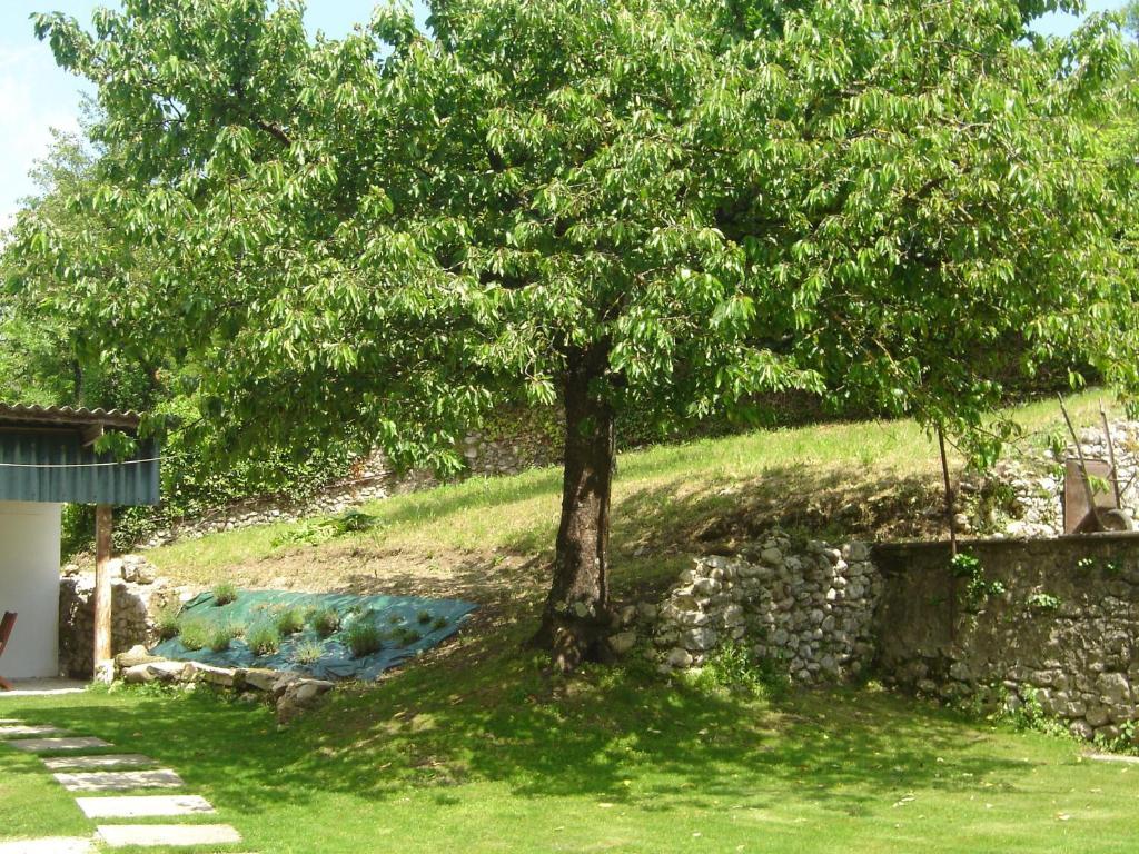Cote Jardin Daire Saint-Jean-en-Royans Dış mekan fotoğraf